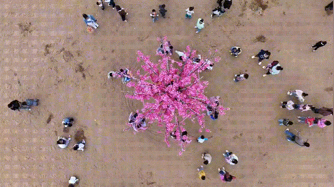 20241015182054_355.gif