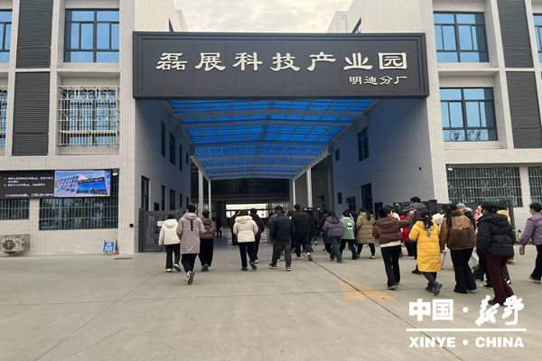 图片5_副本.png