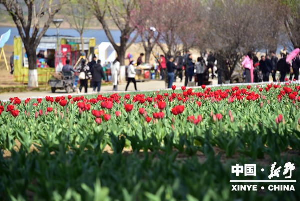 20250319171659_44.jpg DSC_8404_副本.jpg