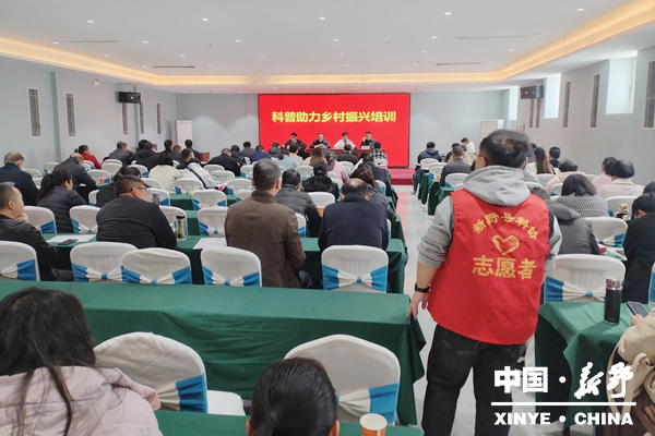 图片12_副本.png