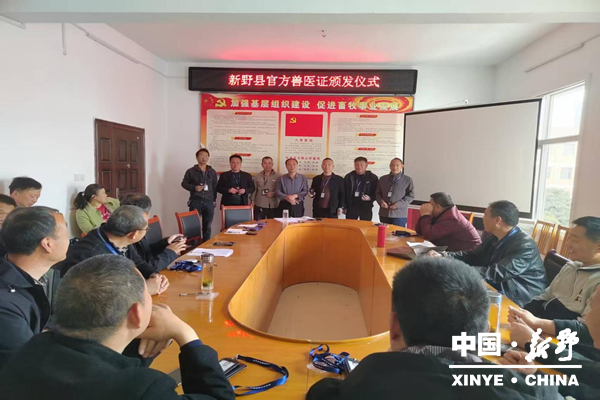 图片19_副本.png