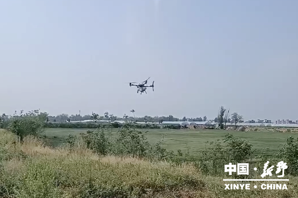 图片2_副本.png