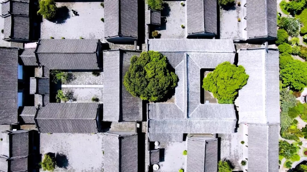 ￯﾿ﾥ￯ﾾﾎ￯ﾾ﾿￯﾿ﾨ￯ﾾﾡ￯ﾾﾙ2