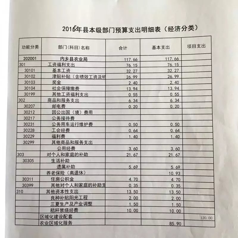 农业局预算支出明细表.jpg