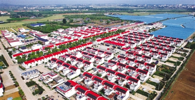 南阳市落实全面乡村振兴战略走笔 南阳市落实全面乡村振兴战略走笔