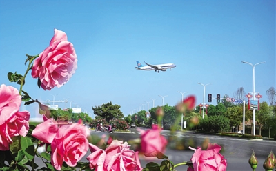 文旅融合绽芳华 文旅融合绽芳华