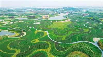 南阳市高质量推进绿色低碳转型战略走笔 南阳市高质量推进绿色低碳转型战略走笔