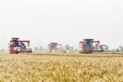 加快进度抢收抢种