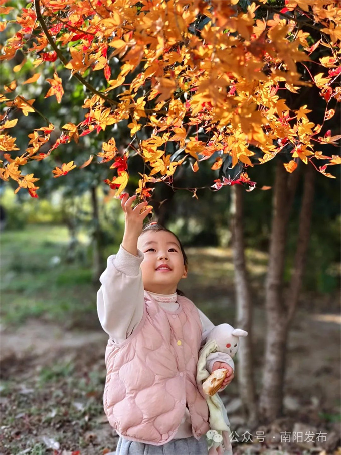 南阳：多彩冬日惹人醉