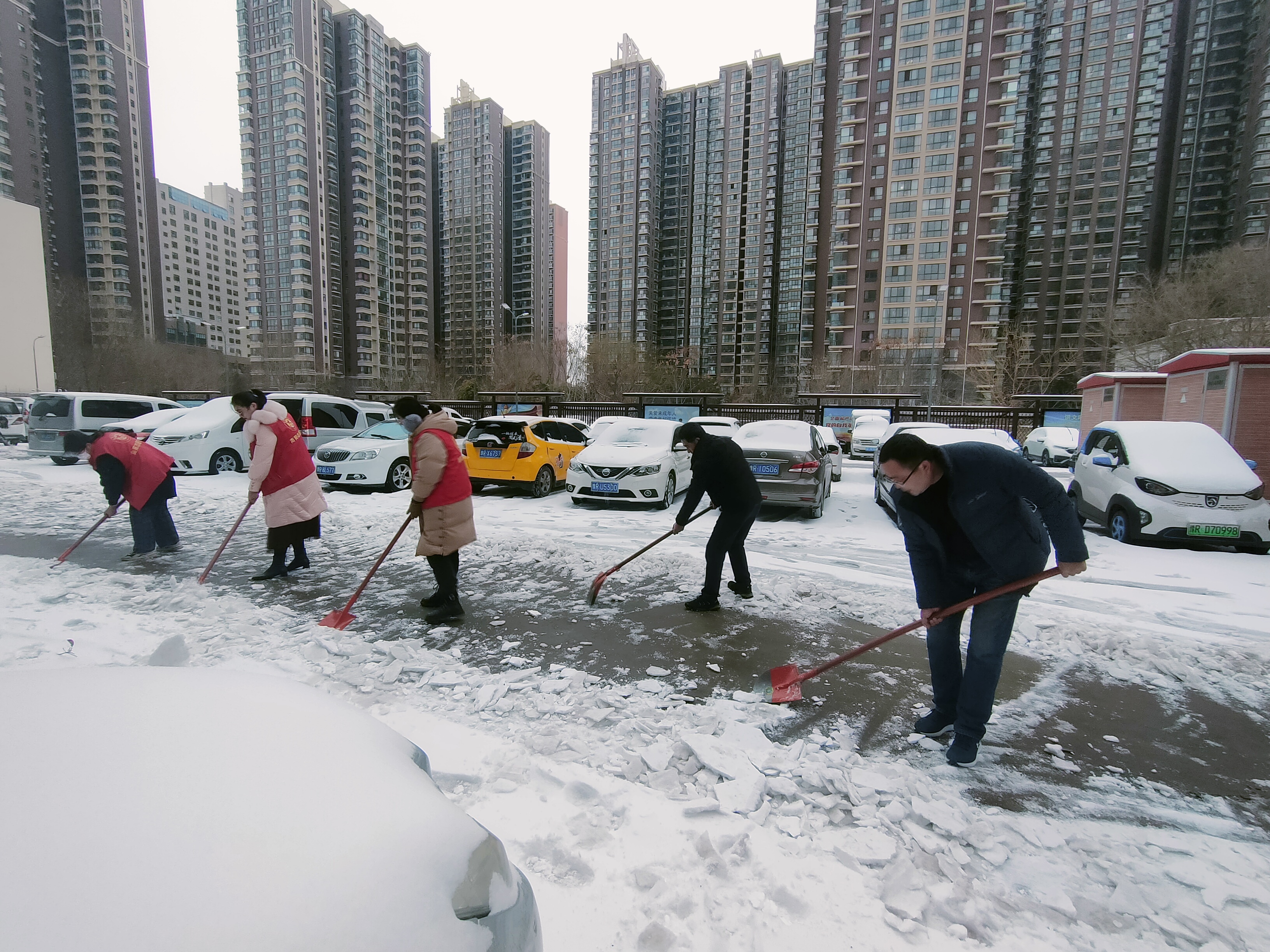 南阳市住房公积金管理中心开展清雪除冰志愿服务活动   