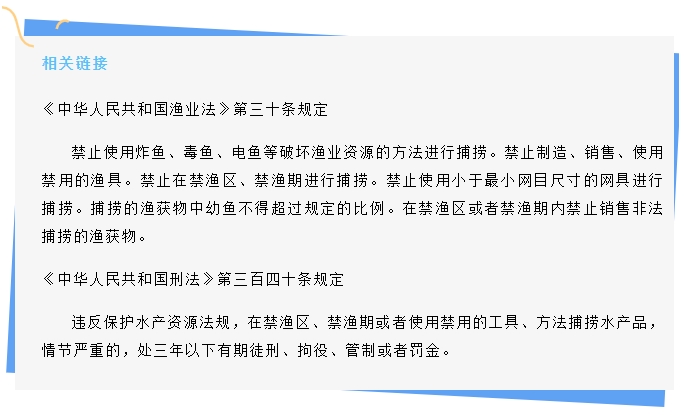 市城管执法支队：大力开展禁渔宣传 提升群众护渔意识