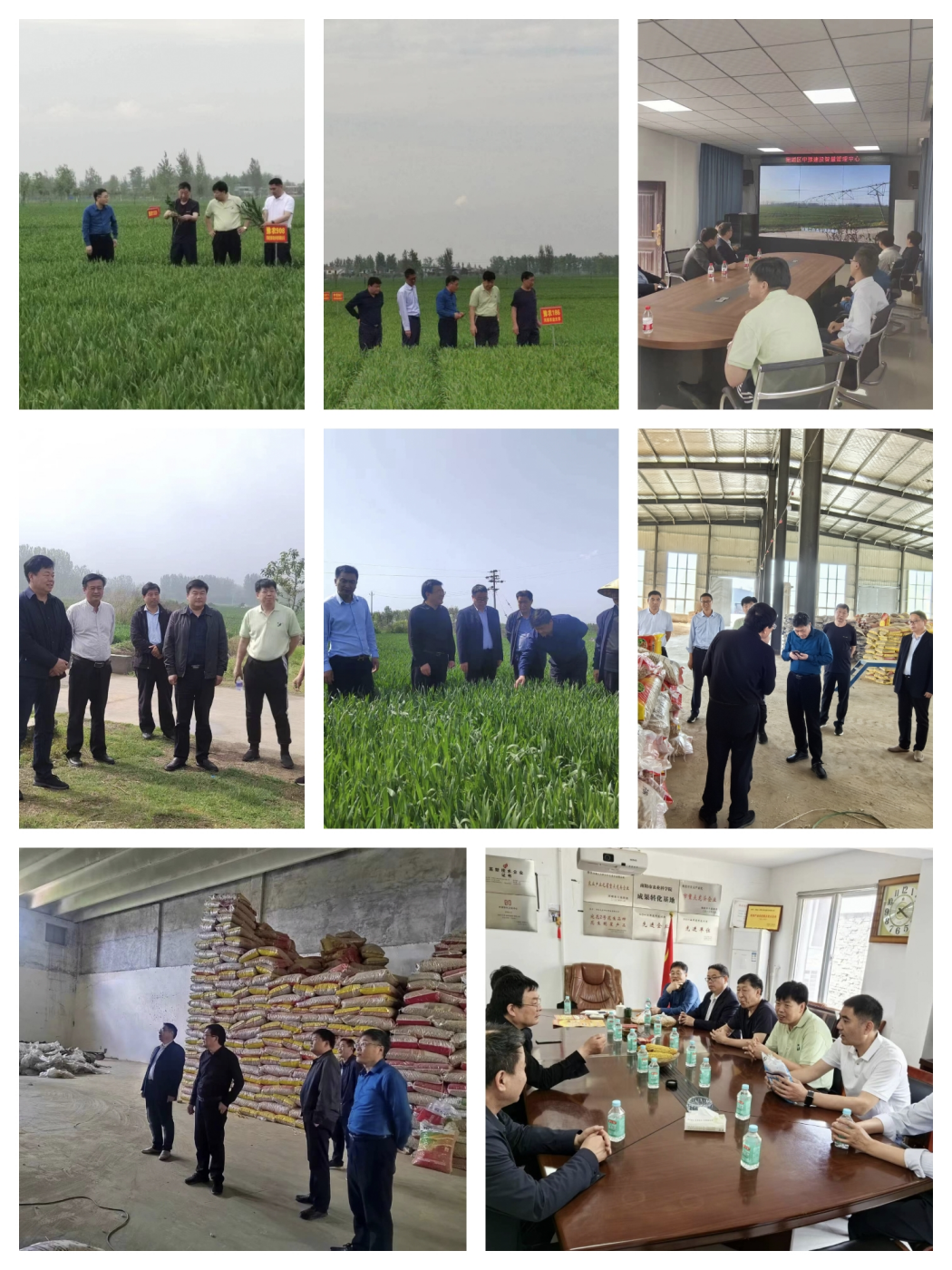 河南农业大学农学院专家莅宛协力南阳种业（农技）发展