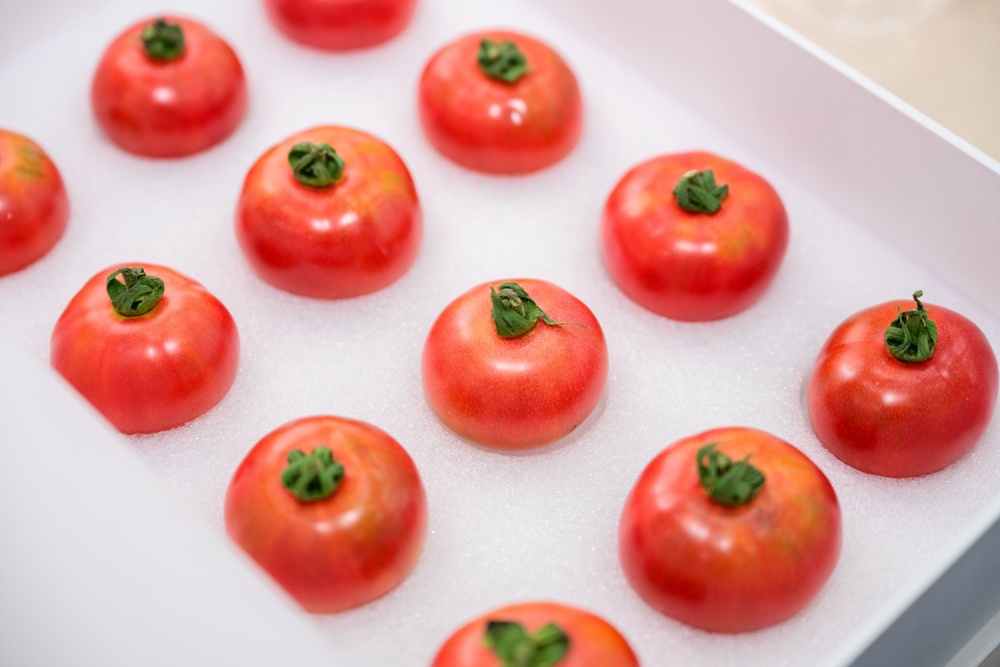 华中农大培育出草莓番茄品种新标杆