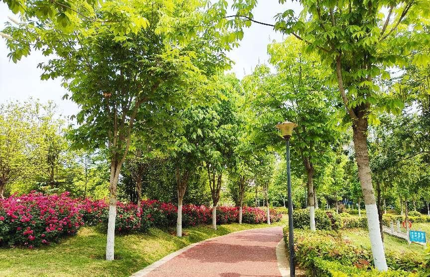 市城市河道治理中心：三里河榆树庄游园美景图来了！