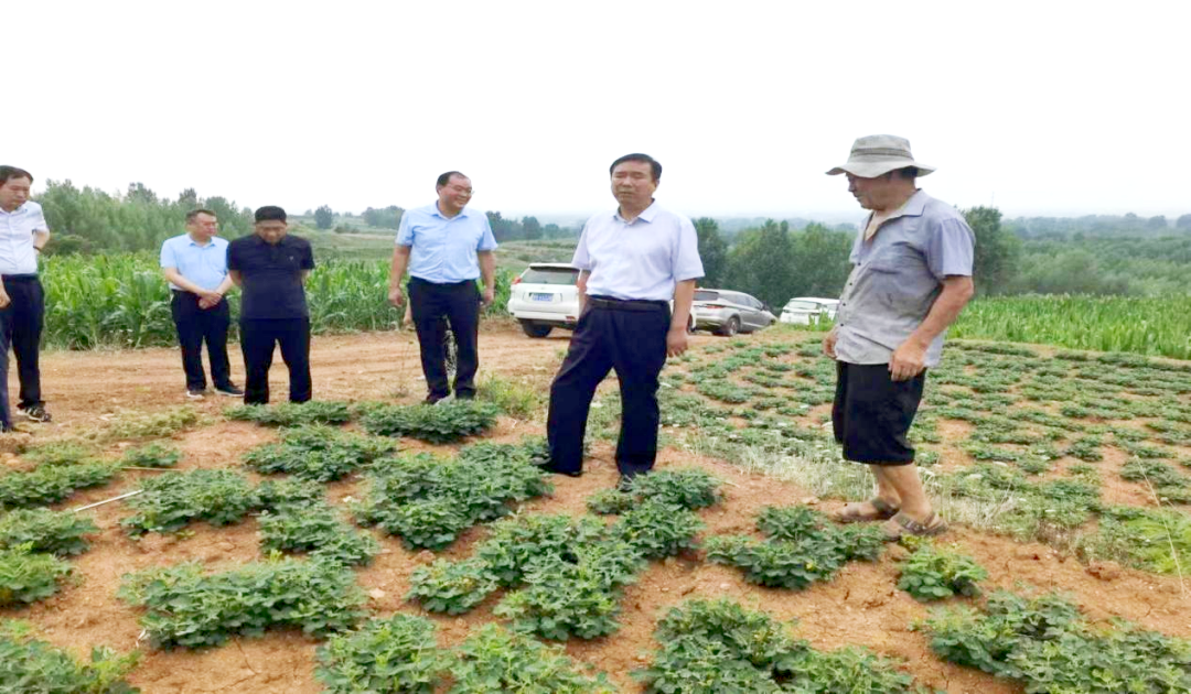 镇平县委书记艾进德察民情 农技人员服务忙