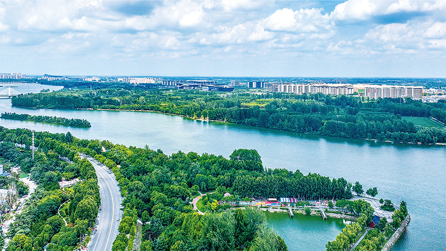 雨润南阳 生机盎然