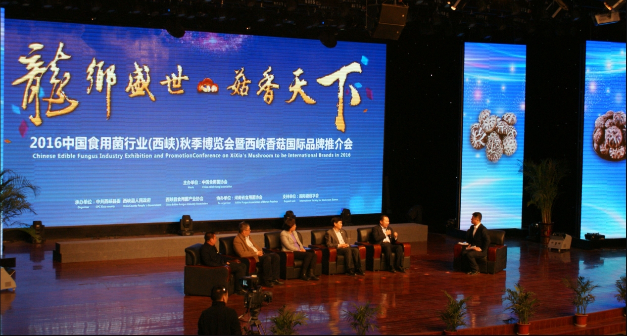 2016中国食用菌行业博览会暨西峡香菇国际品牌推介会访谈