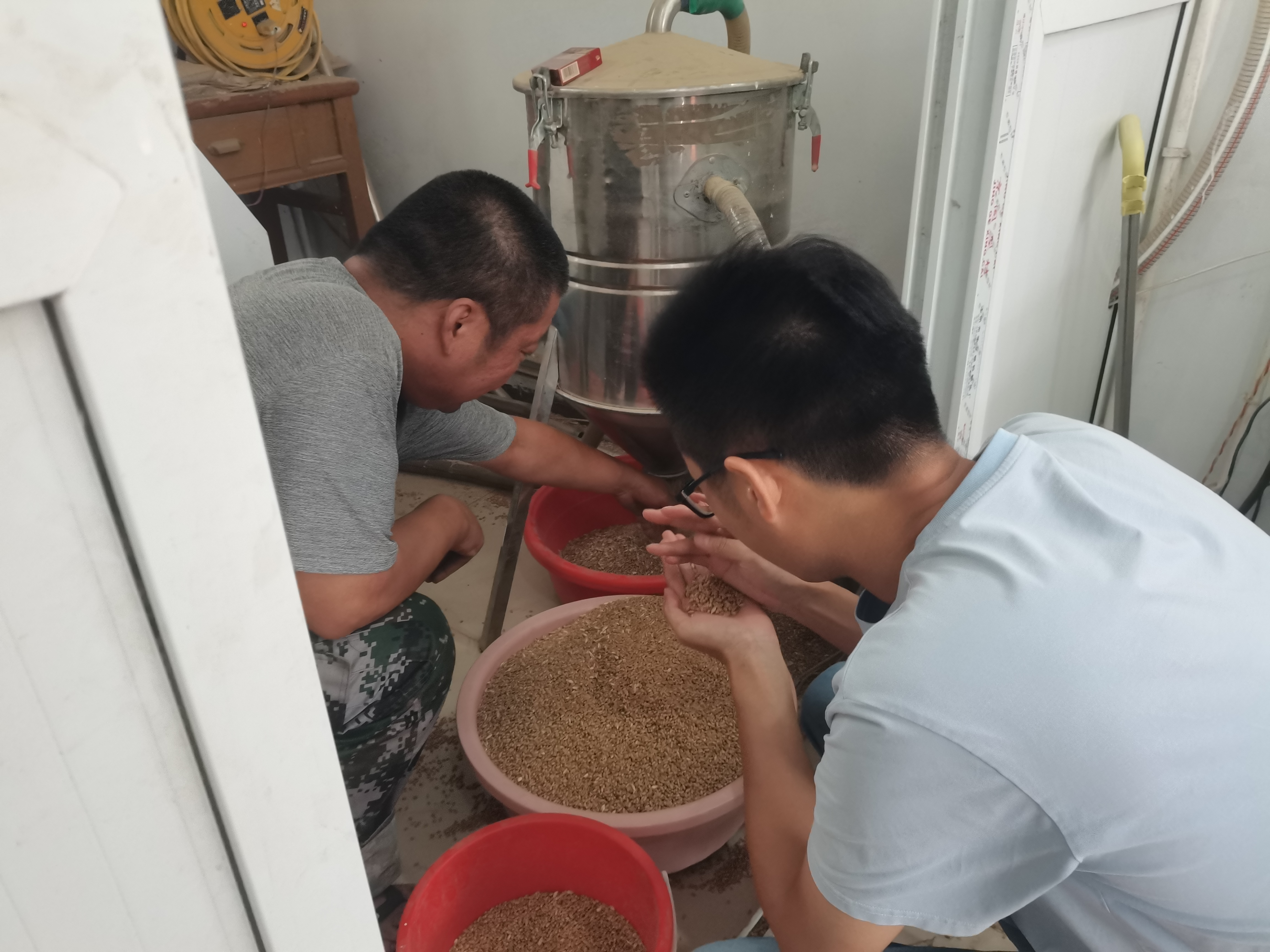 南阳市粮食和物资储备局 持续强化市级储备粮轮换入库监督检查