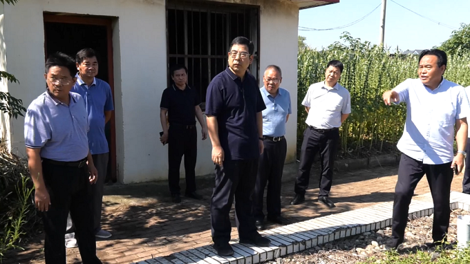 淅川县县长王兴勇调研农村生活污水治理工作 淅川县县长王兴勇调研农村生活污水治理工作