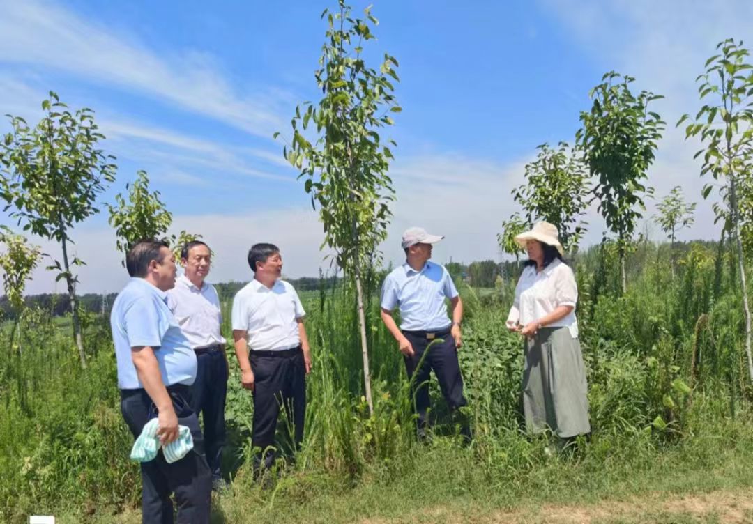 省林业局对我市中央财政林草科技推广项目进行现场查定