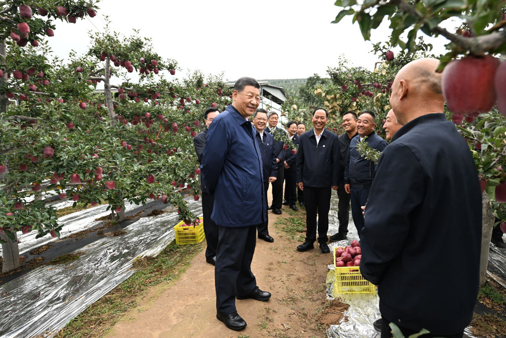 近平在甘肃考察时强调 深化改革勇于创新苦干实干富民兴陇 奋力谱写中国式现代化甘肃篇章