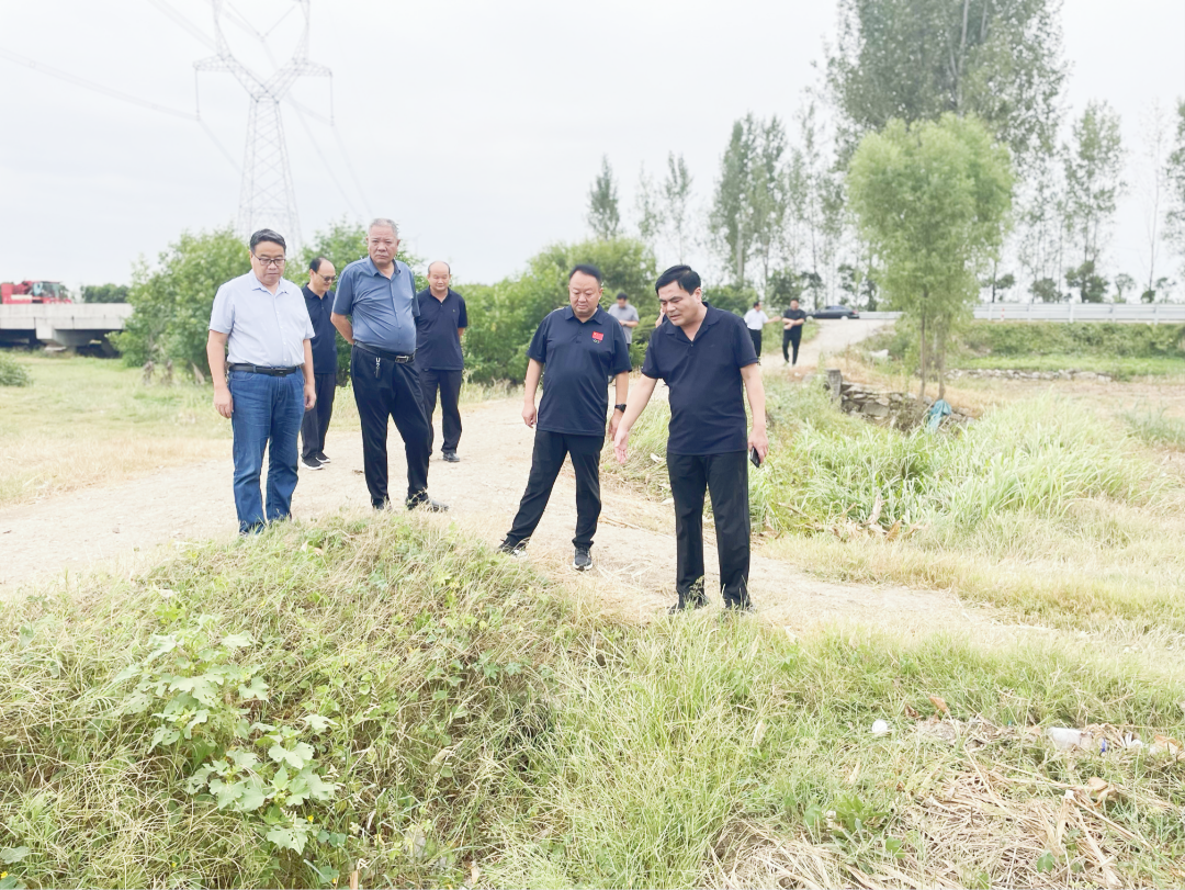 市委农办主任 市农业农村局党组书记、局长周清玉调研农田沟渠整治工作