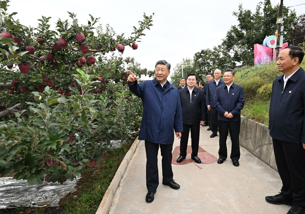 近平在甘肃考察时强调 深化改革勇于创新苦干实干富民兴陇 奋力谱写中国式现代化甘肃篇章
