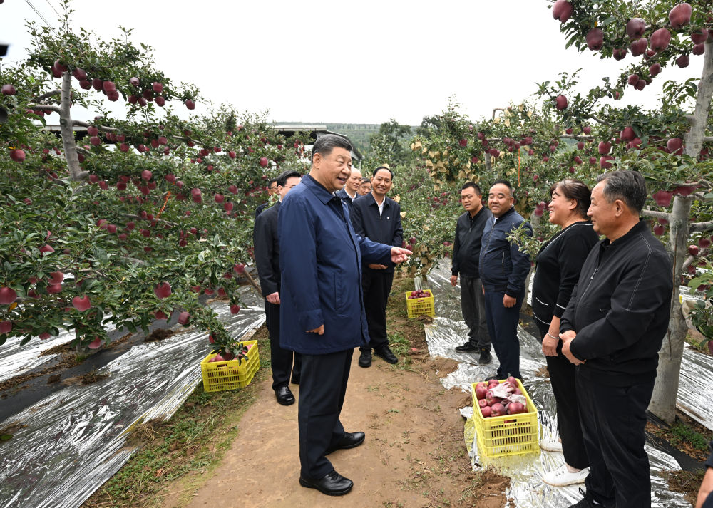 近平在甘肃考察时强调 深化改革勇于创新苦干实干富民兴陇 奋力谱写中国式现代化甘肃篇章
