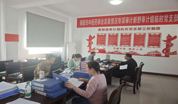 党建引领提站位，凝心聚力促审计——新野县审计局积极开展中医药事业发展专项审计调查