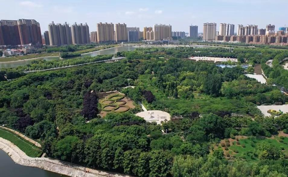 社旗城管：勇当生态文明建设主力军