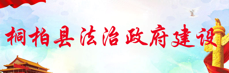 桐柏县法治政府建设