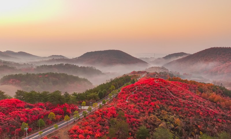 红叶