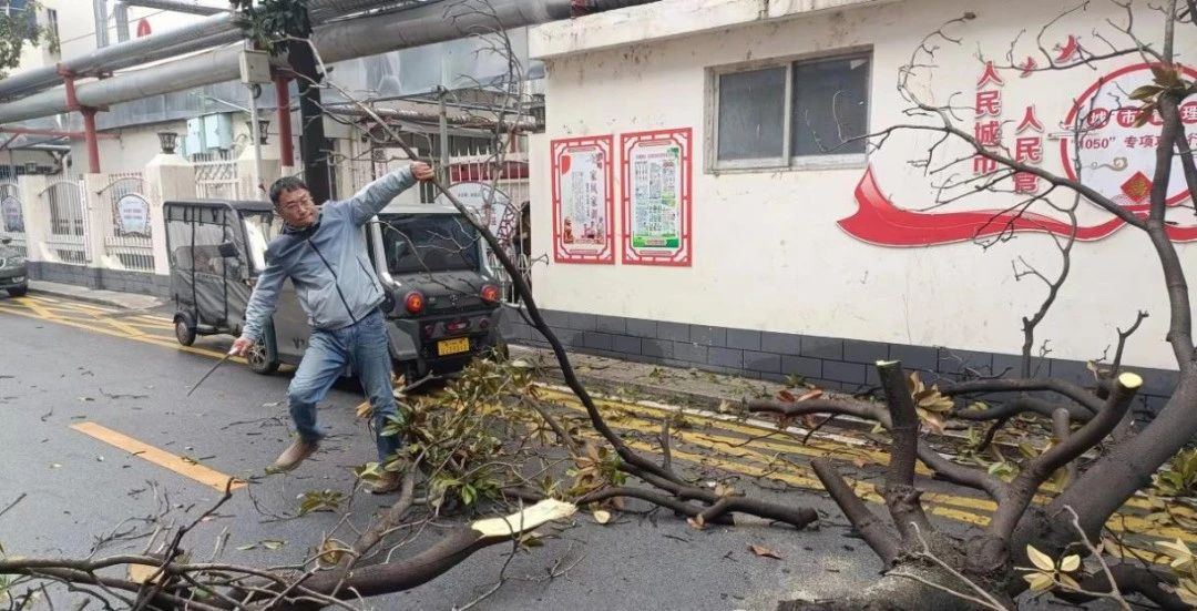 卧龙城管：冒雨清理倒伏树木 守护居民出行安全