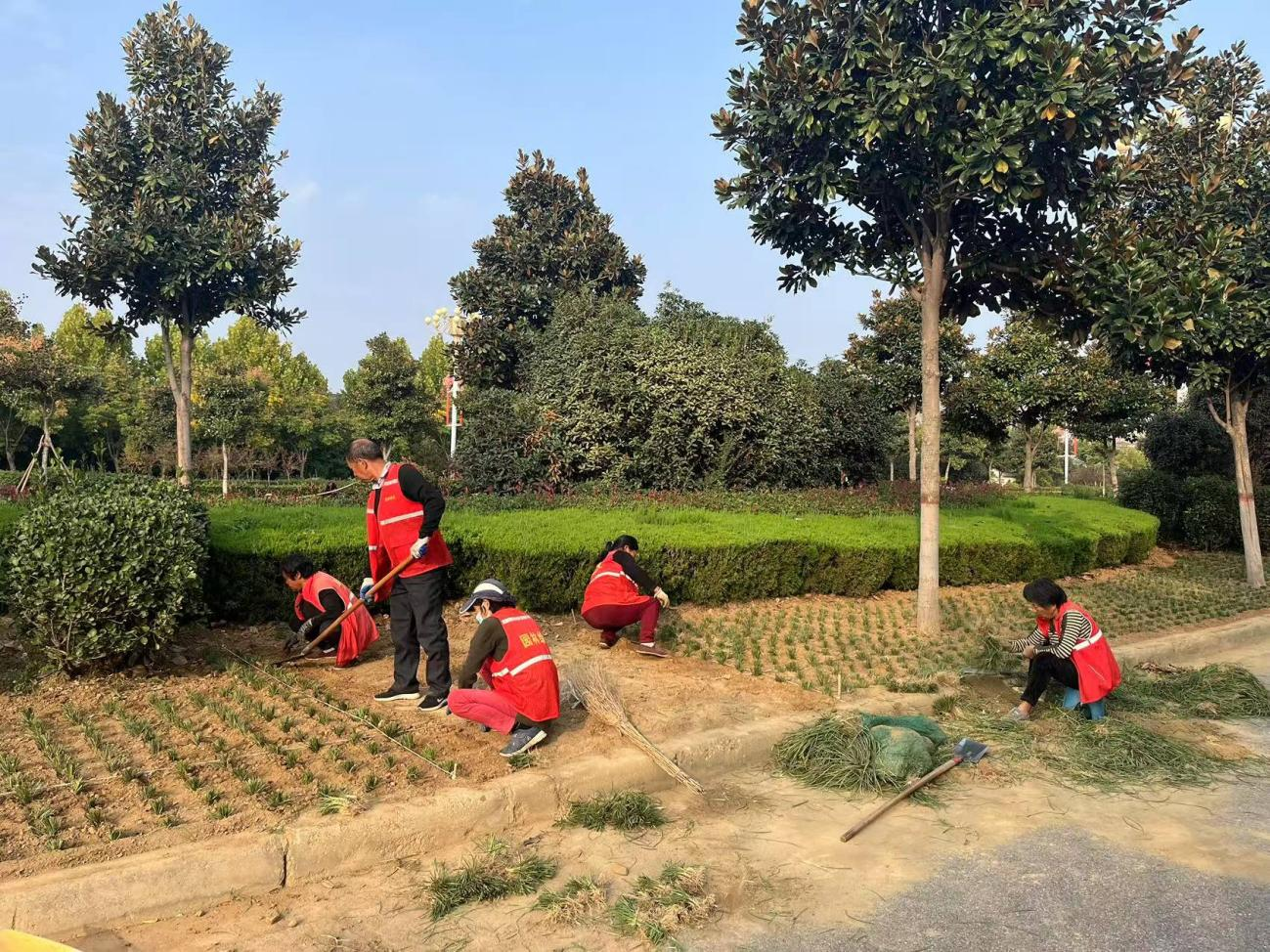 社旗城管：秋意浓浓景色好 补植添绿正当时