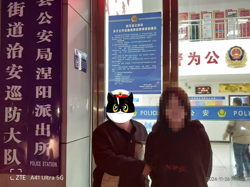镇平警方：精准出击抓获三名网上逃犯