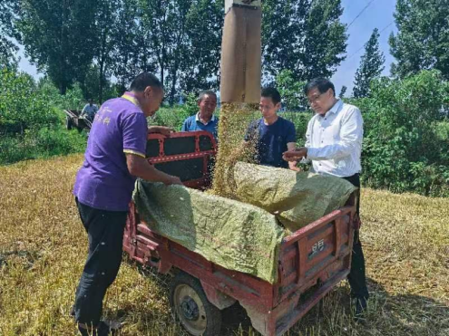 风吹麦浪香 颗粒归仓忙 风吹麦浪香 颗粒归仓忙