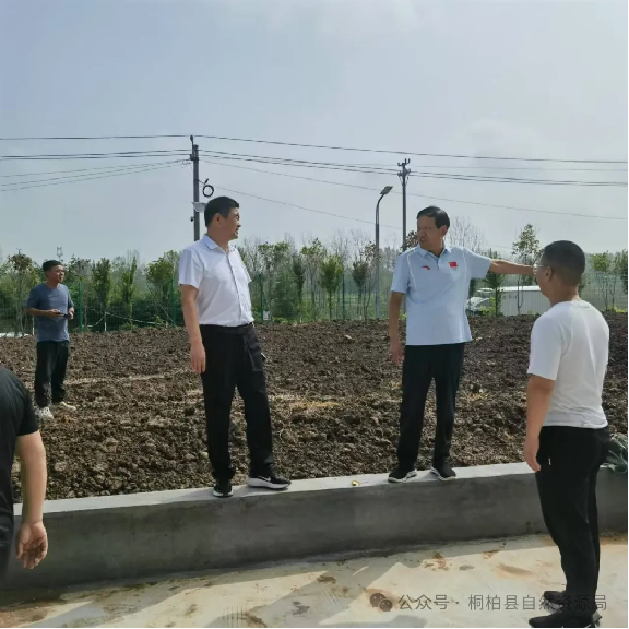 桐柏县自然资源局深入推进土地卫片图斑整改向纵深落实