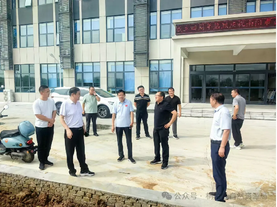 桐柏县自然资源局深入推进土地卫片图斑整改向纵深落实