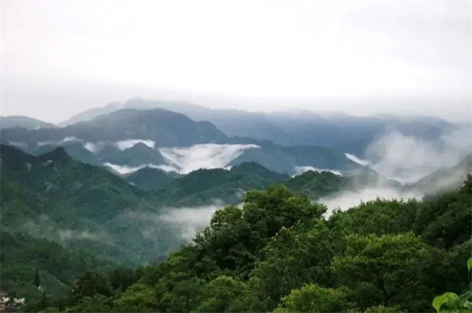 南召县：以生态环境高水平保护助推副中心城市高质量建设