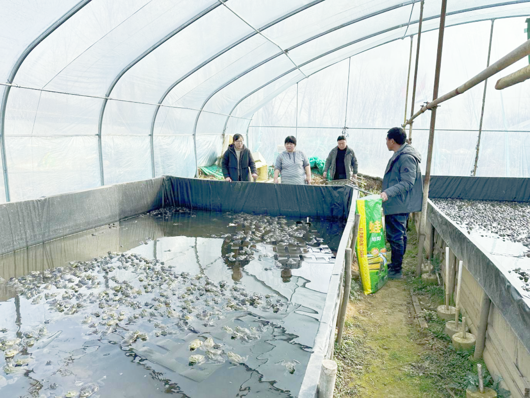 质量安全宣检齐抓 养殖生产健康有序——南阳市农业（水产）技术推广中心开展产地水产品质量安全宣检工作