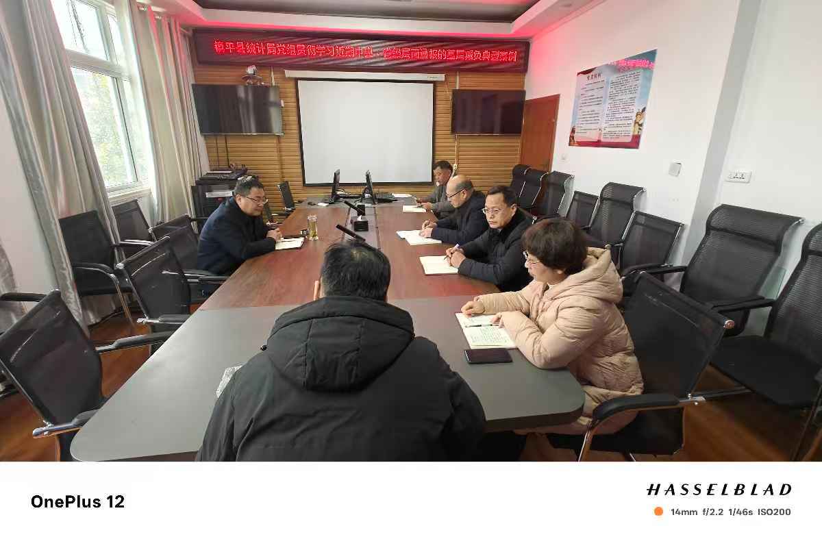 镇平县统计局党组贯彻学习近期中央省级层面通报的基层减负典型案例
