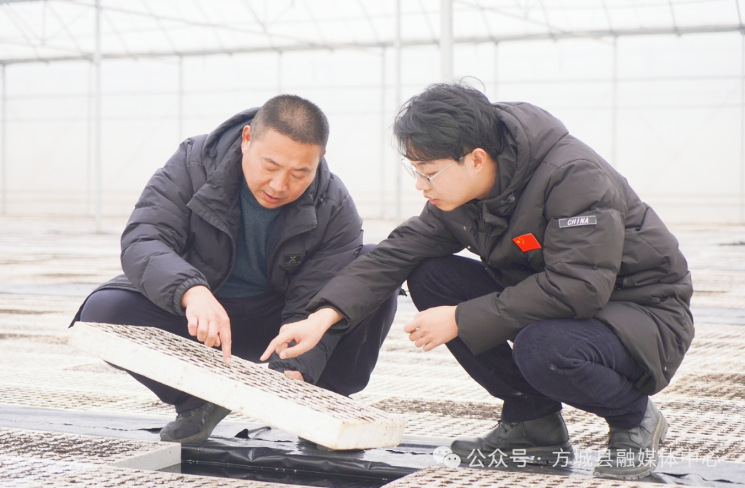 方城县清河镇开启烟叶育苗“加速度”