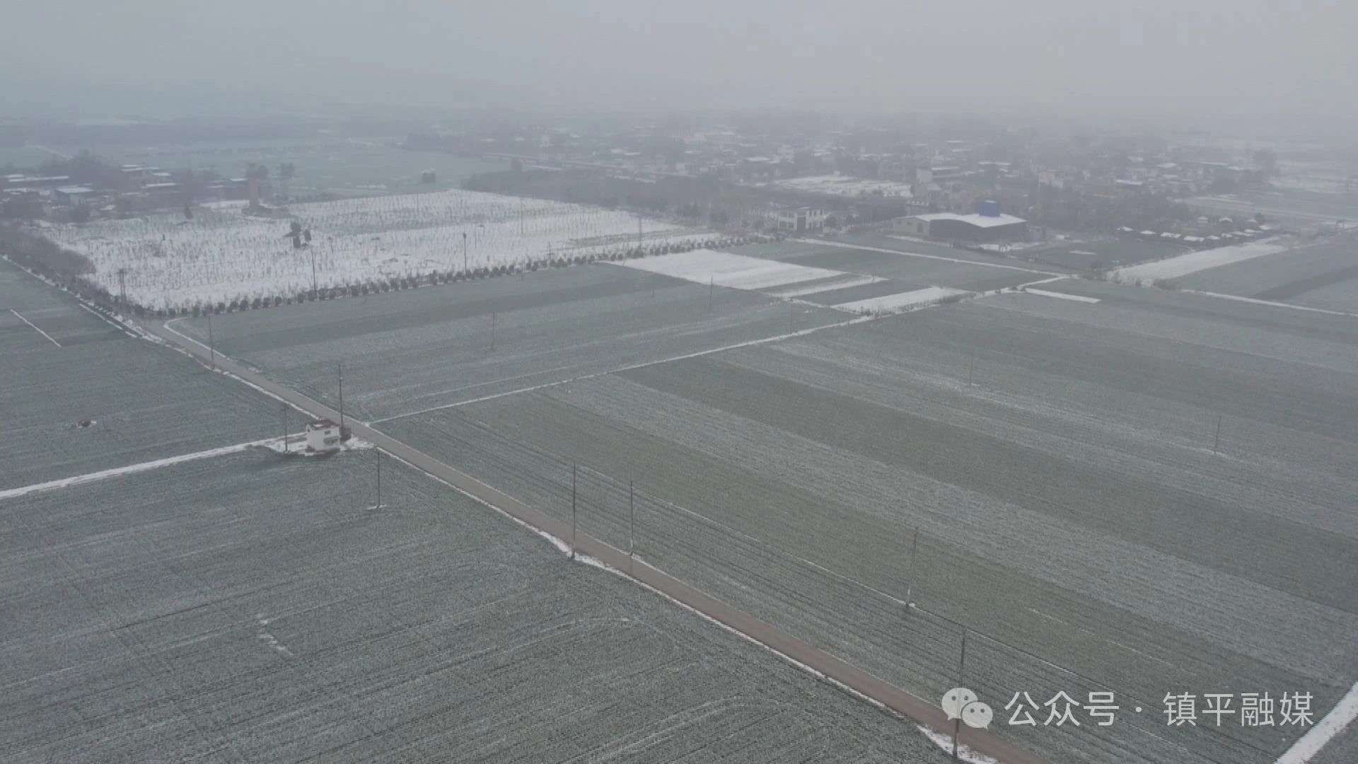 镇平：加强低温雨雪麦田管理 确保夏粮丰产丰收