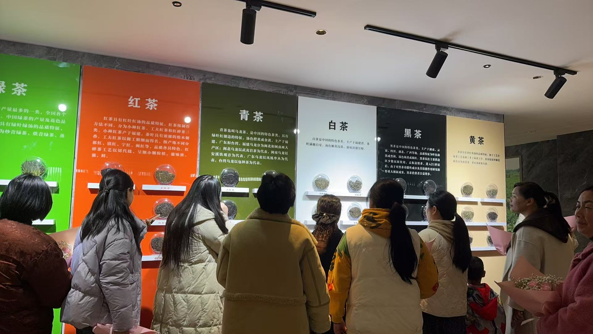 桐柏县平氏镇：品书香茶韵 展巾帼风采