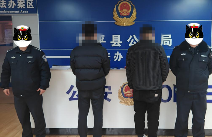 雷霆出击！镇平公安成功斩断本地“两卡”犯罪链条