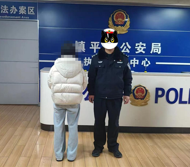 雷霆出击！镇平公安成功斩断本地“两卡”犯罪链条