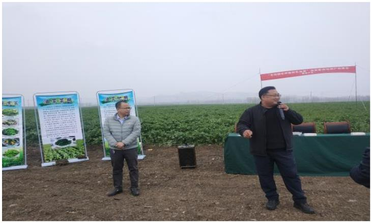 豫南片区冬闲烟田种植特色油菜现场会在我市召开
