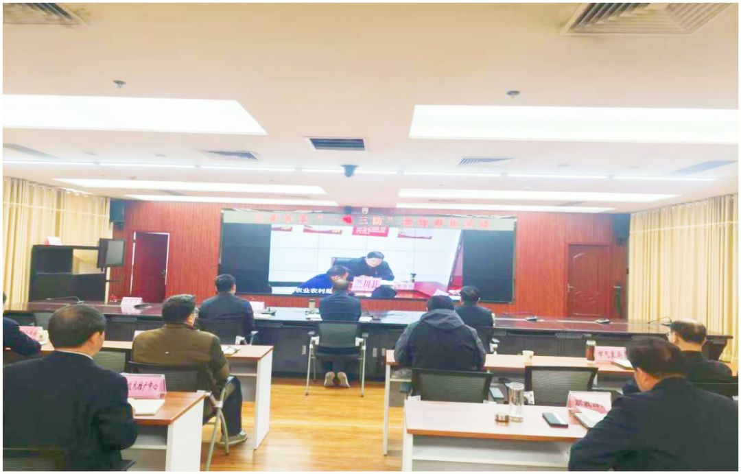南阳市召开小麦“一喷三防”视频调度会议