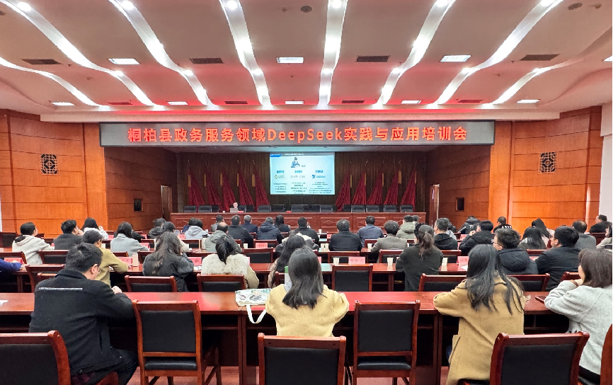 桐柏县行政审批和政务信息管理局：召开政务服务领域DeepSeek应用培训会 探索便民服务新举措