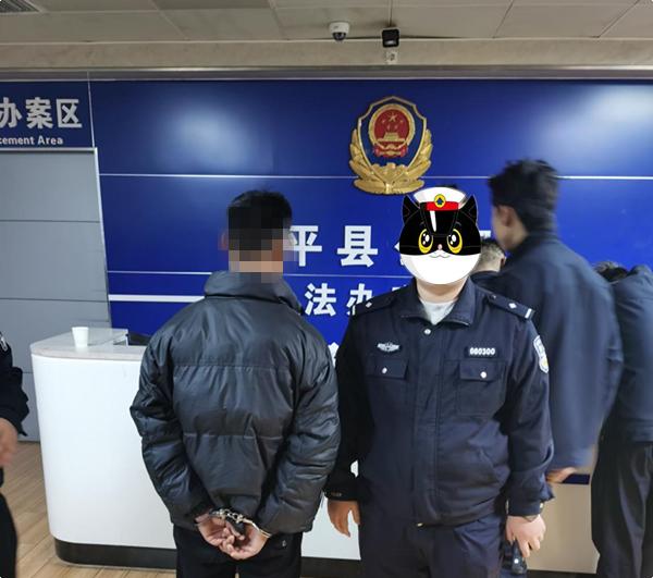 雷霆出击！镇平公安斩断电诈黑手，跨省惯犯高速服务区落网